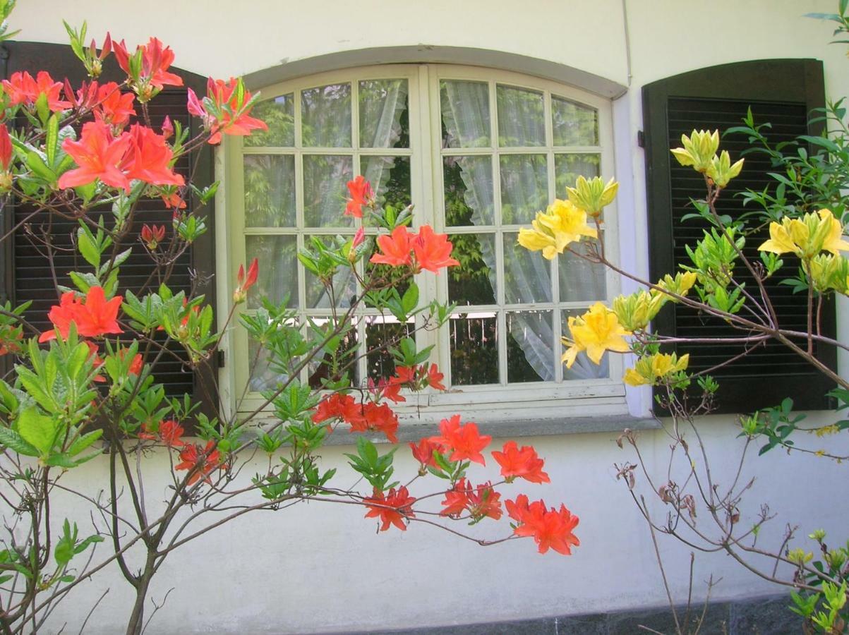 B&B Vaemenia Omegna Ngoại thất bức ảnh